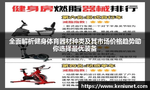全面解析健身体育器材种类及其市场价格趋势助你选择最优装备